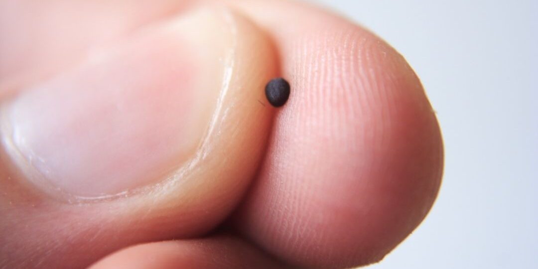 lectio divina, duhovnost