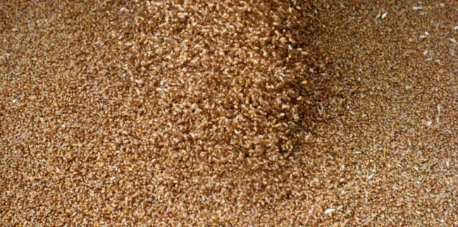 lectio divina evangelija