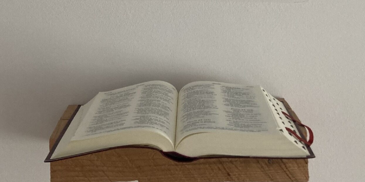 Lectio divina nedeljskega evangelija