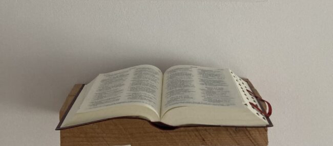 Lectio divina nedeljskega evangelija